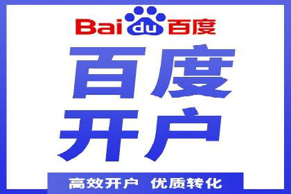 SEM投放策略优化案例分析